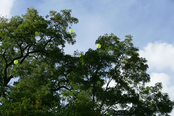 VN0O9708